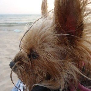 Meet your Posher, Janey